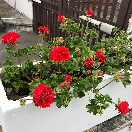 Appartement Aquarius Rome